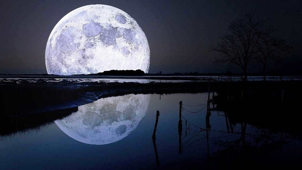 Moon