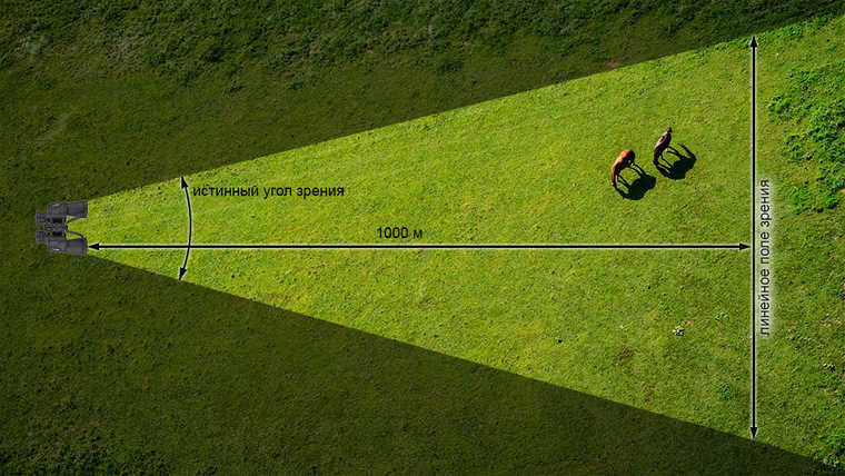 Width of field of view