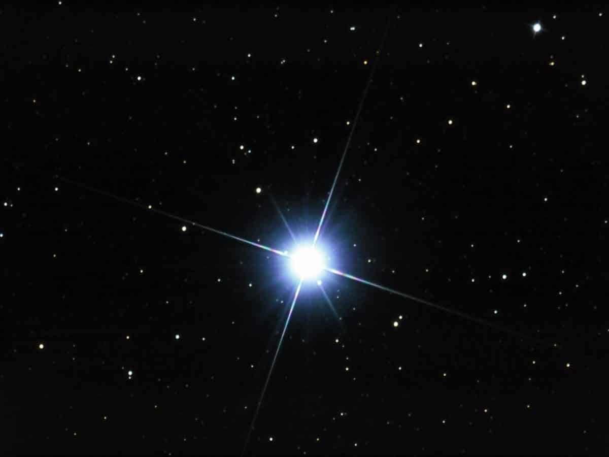 Vega star in the sky