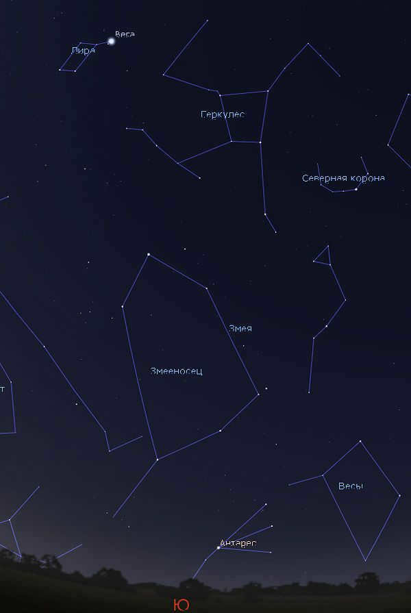 starry skies in march 2020