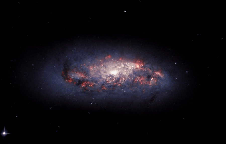 Galaxy NGC 972
