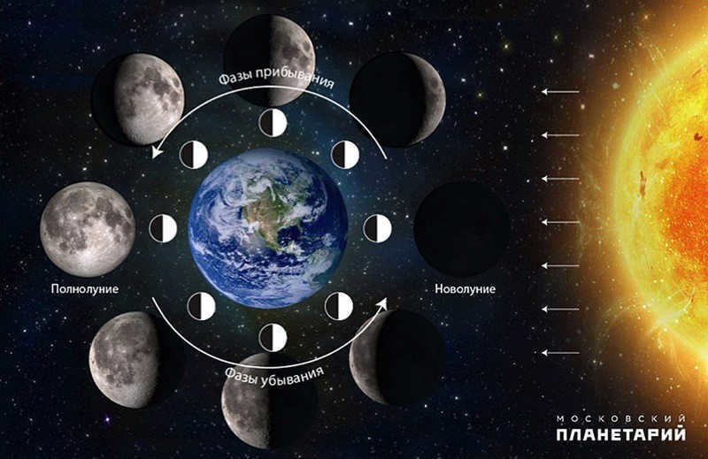 Moon phases picture scheme