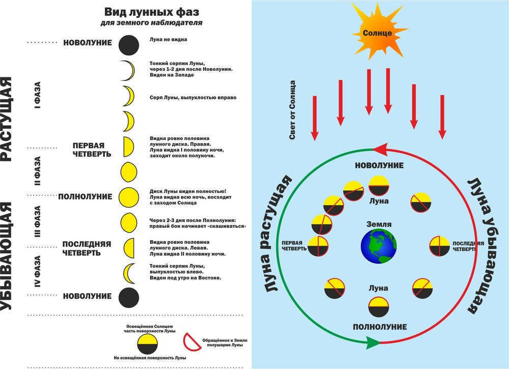 Types of moon phases