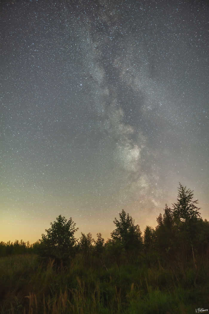 A little bit of Milky Way Photography, Nature, Sky, Forest, Landscape, Night, Stars, Astrophoto, Starry Sky, Summer, Milky Way