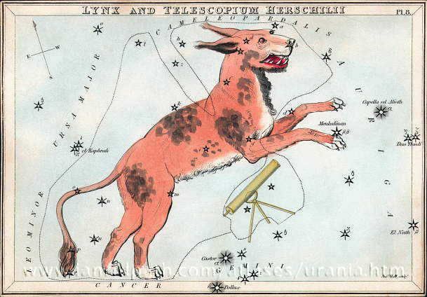 Lynx constellation. Lynx constellation - signs and symbols. Searching for lynx in the sky price to buy