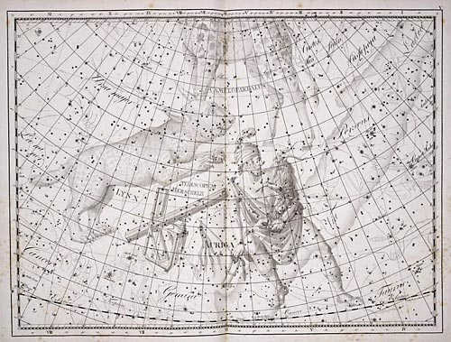 Lynx constellation. Lynx constellation - signs and symbols. Searching for lynx in the sky price to buy