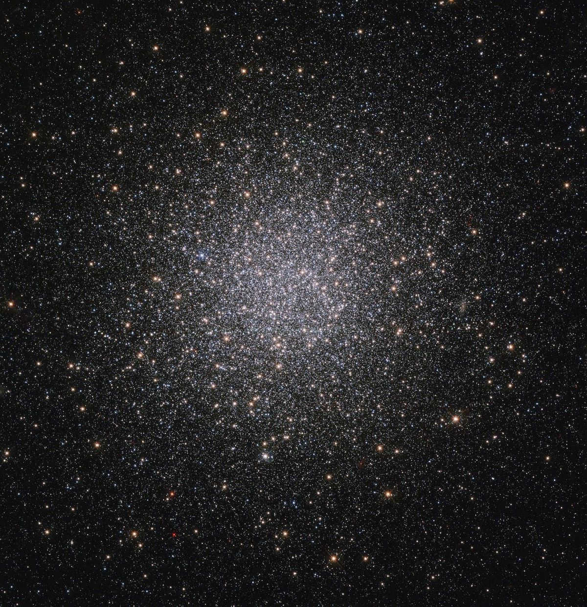 Lynx constellation. Lynx constellation - signs and symbols. Searching for lynx in the sky price to buy