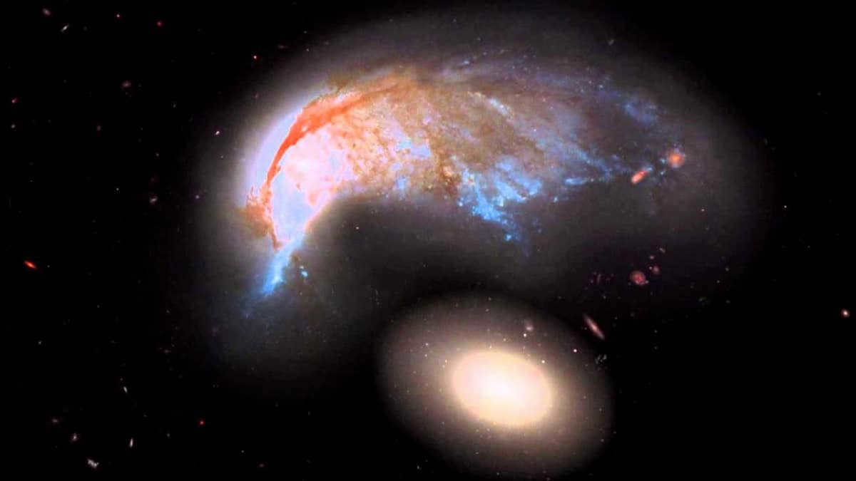 porpoise galaxy