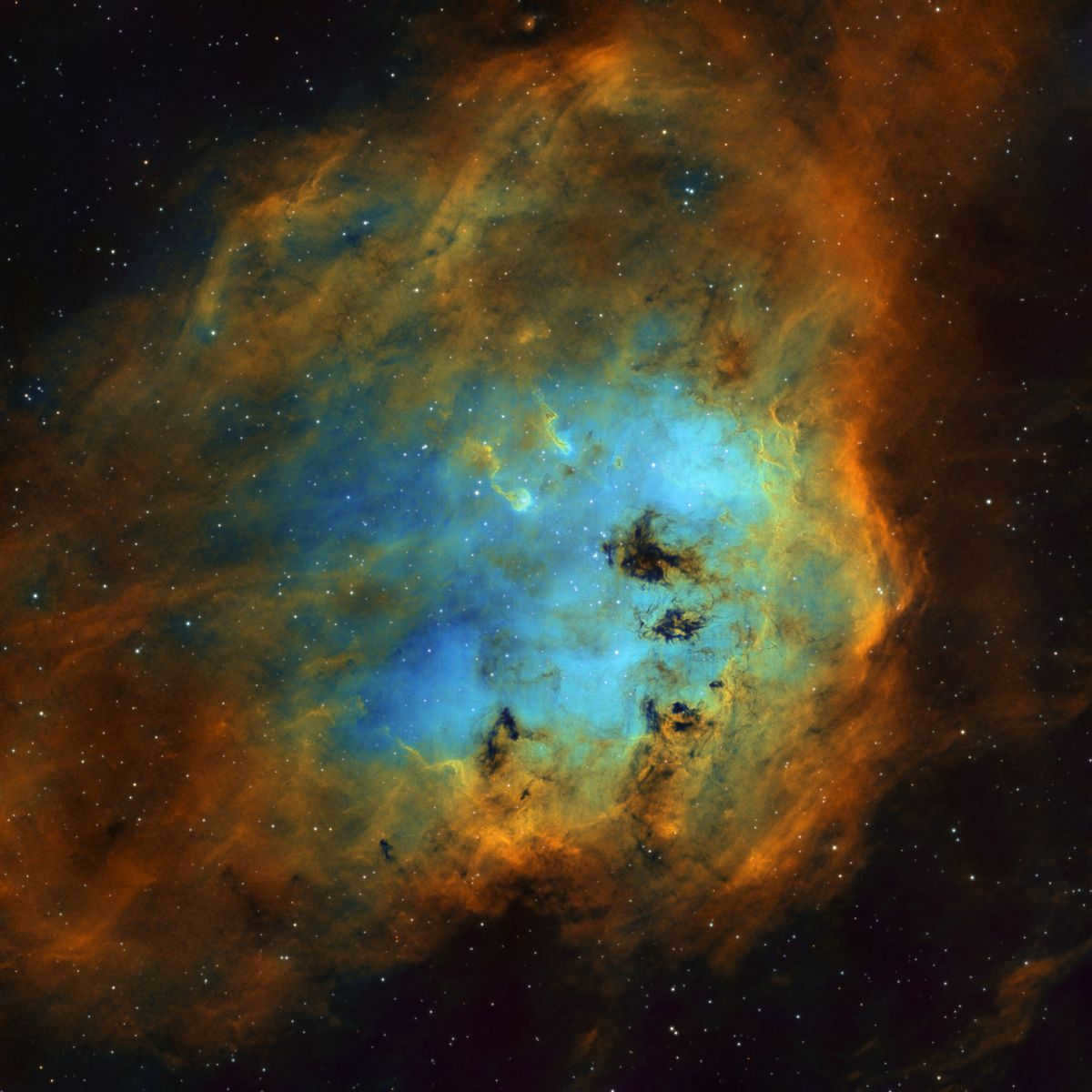 Constellation Ascendant: how to find in the sky, mythology, description