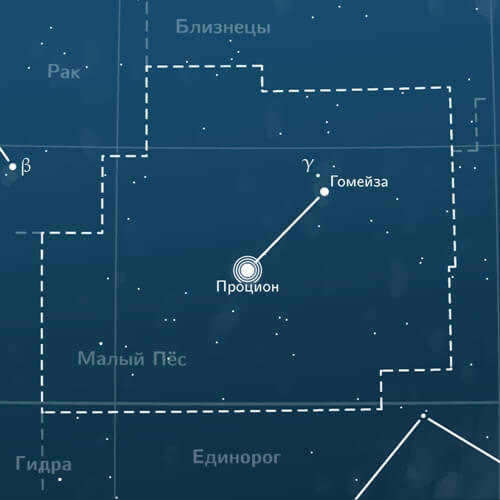 Procyon