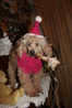 Check out all the photos from the series New Year 2012