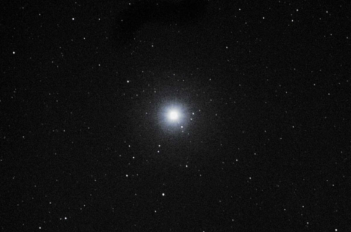 Syrian star