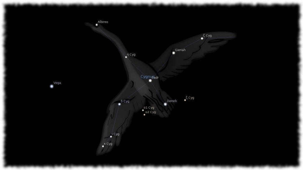 Swan constellation