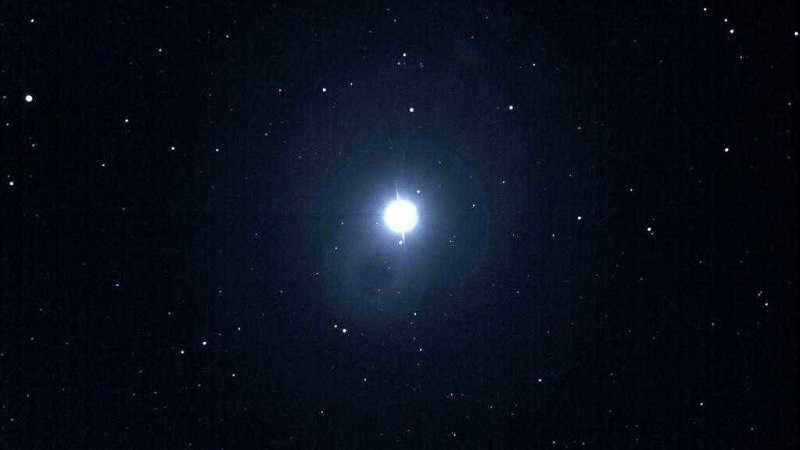 Vega